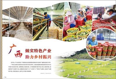 廣西 做實特色產業，激發農產品生產活力，助推鄉村振興