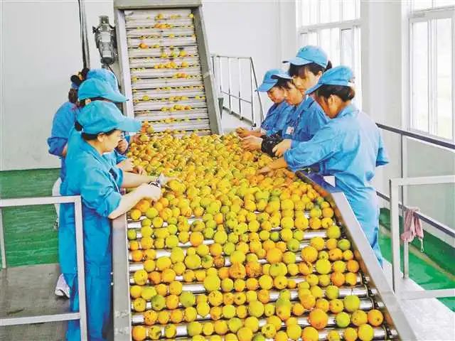 農業全產業鏈 從田間到餐桌的系統變革與先正達MAP模式的實踐