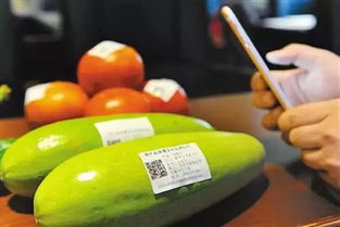 我市積極推進(jìn)農(nóng)產(chǎn)品質(zhì)量安全追溯建設(shè)，二維碼掃出347家企業(yè)農(nóng)產(chǎn)品前世今生