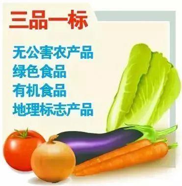 品質(zhì)升維 從“三品一標(biāo)”到價(jià)值標(biāo)桿的農(nóng)業(yè)新征程